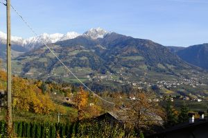 Bild 3: Haus Rosengarten App. Typ "C&D"