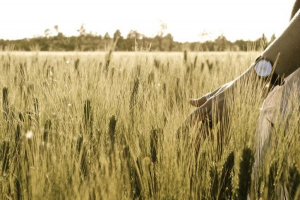 Bild 1: Ferienhof B&B Rivalazzo Agriturismo