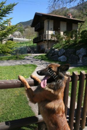 eingezäunter Garten