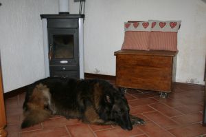 Bild 8: hundefreundliche Haus Giulia mit eingezäunten Garten am LedroseeOberitalien