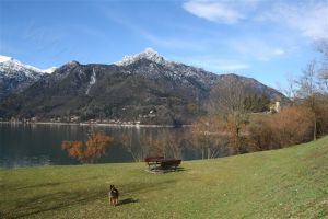 Bild 22: Villa Nini mit eingez. Garten, Pool am Ledrosee für Urlaub mit dem Hund