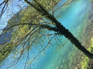 Bild 20: Villa Nini mit eingez. Garten, Pool am Ledrosee für Urlaub mit dem Hund