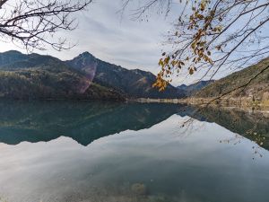 Bild 26: Villa Nini mit eingez. Garten, Pool am Ledrosee für Urlaub mit dem Hund