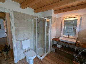 Ferienhaus Villa NINI mit eingezäunten GArten und privatem Swimmingpool Hunde willkommen