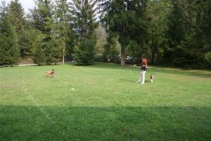 hier hat man genügend Platz zum Frisby spielen oder toben