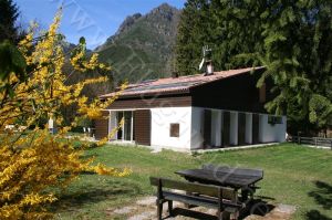 Ferienhaus Villa NINI mit eingezäunten GArten und privatem Swimmingpool Hunde willkommen