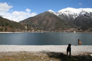Bild 21: Villa Nini mit eingez. Garten, Pool am Ledrosee für Urlaub mit dem Hund