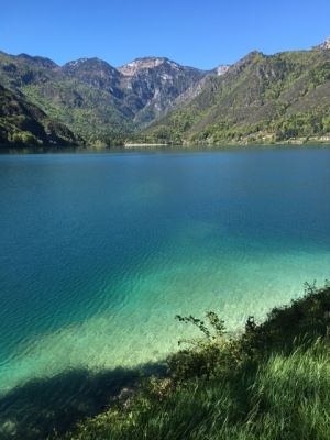 Bild 20: Villa Federica direkt am See, eingez. Garten. Hunde herzlich willkommen