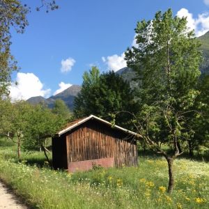 Bild 25: Villa Federica direkt am See, eingez. Garten. Hunde herzlich willkommen