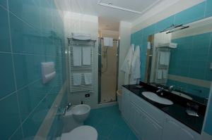 Das Bad mit WC, Dusche und Wäschetrockner.