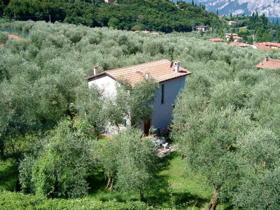 Ferienhaus LAURA in Malcesine in einem 2500 m² großen Olivenhain