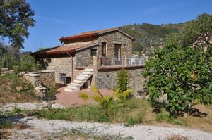 Bild 2: Kampanien, Cilento - Ferienhaus mit Pool und Meerblick nahe Castellabate