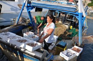 Bild 24: Kampanien, Cilento - Ferienhaus mit Pool und Meerblick nahe Castellabate