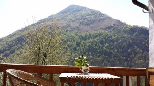 Zwischen Haus und Monte Riga: Schlucht des Cannobiner Tals (Berg nicht zu Fuß erreichbar)