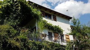 links die schattige Terrasse mit Weinpergola,
rechts der überdachte Balkon,
beide nach Süden ausgerichtet