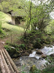 Bild 27: wunderbar ruhig und romantisch gelegenes Ferienhaus in Bezzecca am Ledrosee