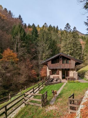 Blick auf das Ferienhaus in herrlicher Alleinlage