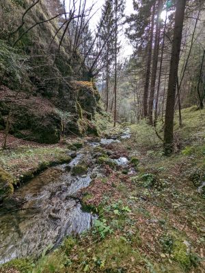 Natur Pur rings ums Haus