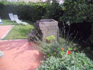 Bild 15: Casamia, kinderfreundliches und hundefreundliches Ferienhaus bei Pisa