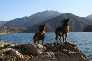 Bild 23: Ferienwohnung Valentina mit eingezäunte Terrasse am Ledrosee