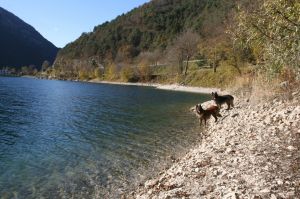 Bild 22: Ferienwohnung Valentina mit eingezäunte Terrasse am Ledrosee