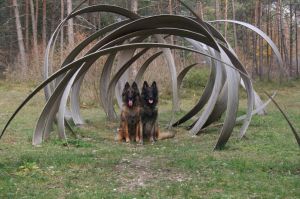 Bild 19: Ferienwohnung Valentina mit eingezäunte Terrasse am Ledrosee