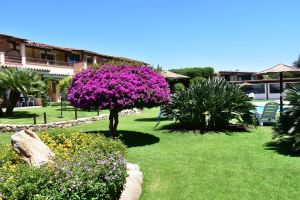 Bild 2: Sardinien - Hotel Su Giganti in Villasimius in Strandnähe mit Pool