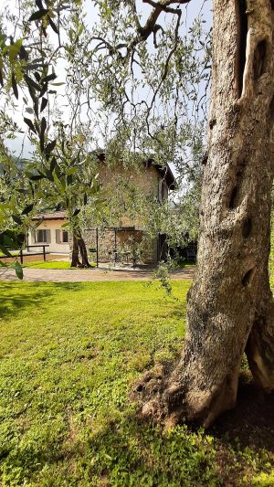 Bild 18: Rustico Casetta Pia in Malcesine am Gardasee