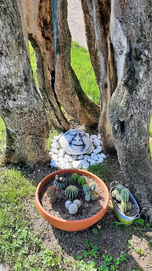 Bild 19: Rustico Casetta Pia in Malcesine am Gardasee