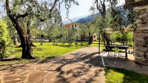 Bild 20: Rustico Casetta Pia in Malcesine am Gardasee